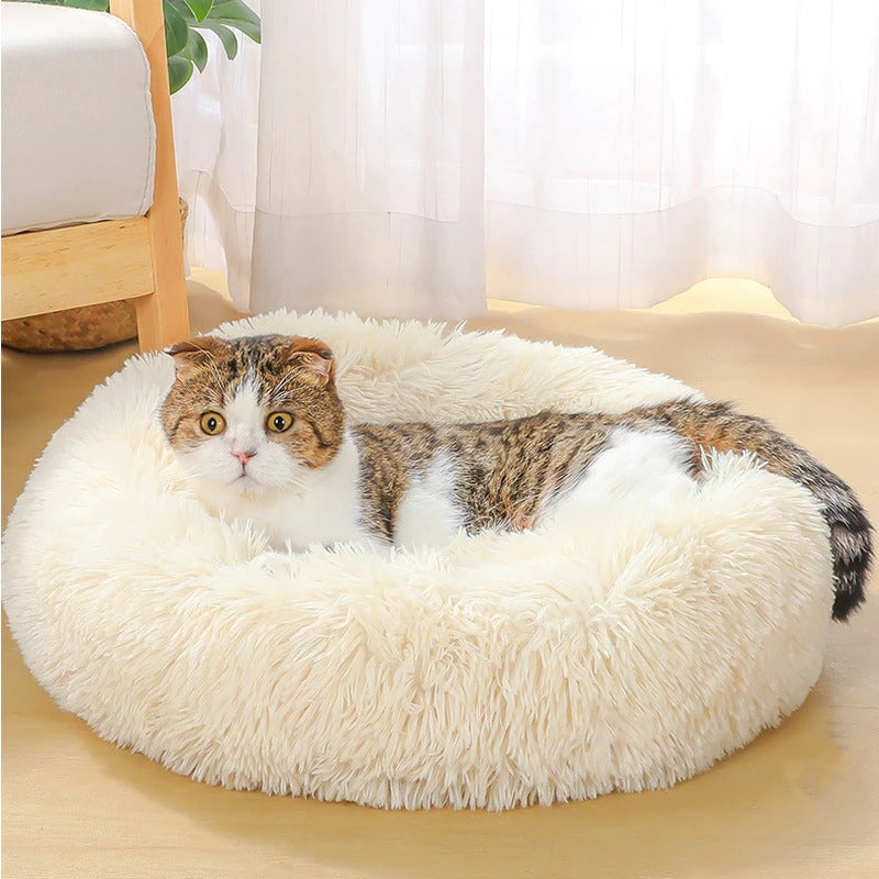 Super Soft Plush Dog Bed - Washable Velvet Pet Sofa & Kennel